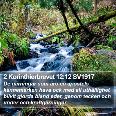 2 Korinthierbrevet 12:12 SV1917 Bible Verse Image