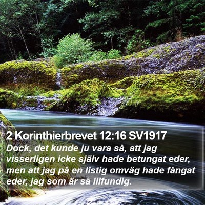 2 Korinthierbrevet 12:16 SV1917 Bible Verse Image