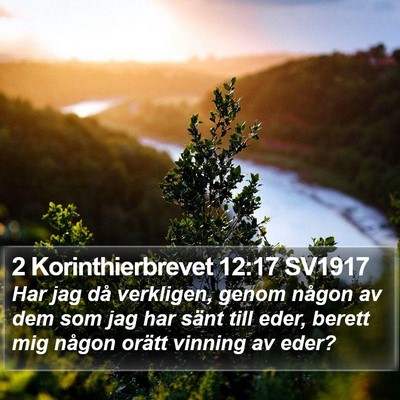2 Korinthierbrevet 12:17 SV1917 Bible Verse Image