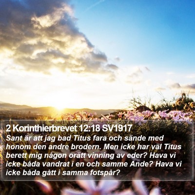 2 Korinthierbrevet 12:18 SV1917 Bible Verse Image