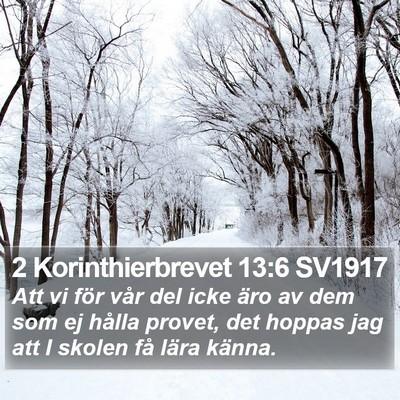 2 Korinthierbrevet 13:6 SV1917 Bible Verse Image