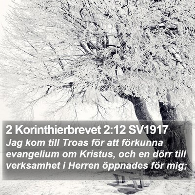 2 Korinthierbrevet 2:12 SV1917 Bible Verse Image
