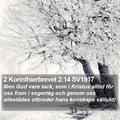 2 Korinthierbrevet 2:14 SV1917 Bible Verse Image