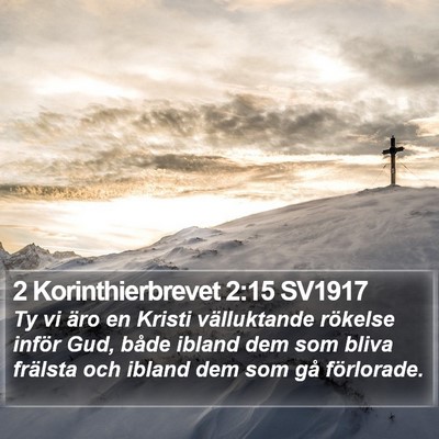 2 Korinthierbrevet 2:15 SV1917 Bible Verse Image