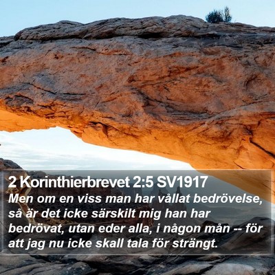 2 Korinthierbrevet 2:5 SV1917 Bible Verse Image