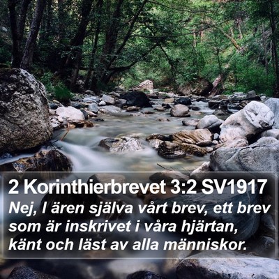 2 Korinthierbrevet 3:2 SV1917 Bible Verse Image