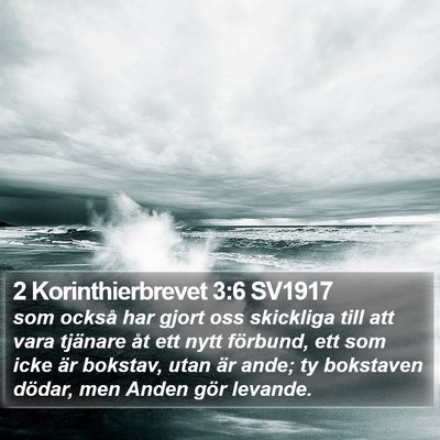 2 Korinthierbrevet 3:6 SV1917 Bible Verse Image