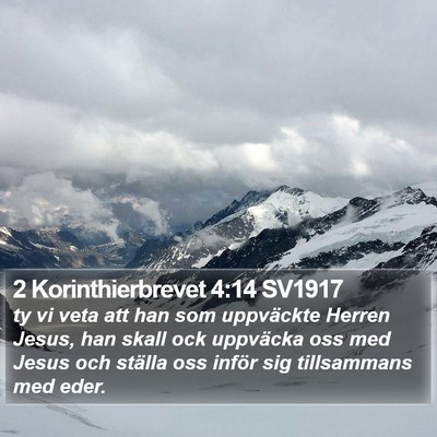 2 Korinthierbrevet 4:14 SV1917 Bible Verse Image