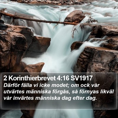 2 Korinthierbrevet 4:16 SV1917 Bible Verse Image