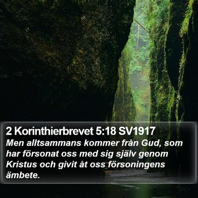 2 Korinthierbrevet 5:18 SV1917 Bible Verse Image