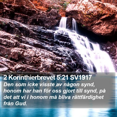 2 Korinthierbrevet 5:21 SV1917 Bible Verse Image
