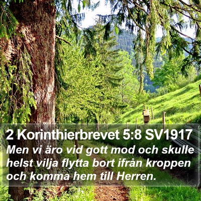 2 Korinthierbrevet 5:8 SV1917 Bible Verse Image