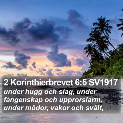 2 Korinthierbrevet 6:5 SV1917 Bible Verse Image