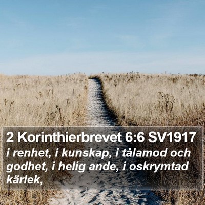 2 Korinthierbrevet 6:6 SV1917 Bible Verse Image