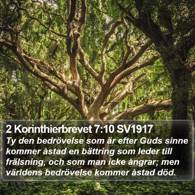 2 Korinthierbrevet 7:10 SV1917 Bible Verse Image