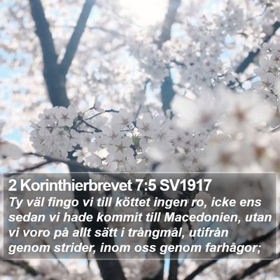 2 Korinthierbrevet 7:5 SV1917 Bible Verse Image