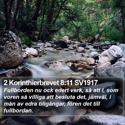 2 Korinthierbrevet 8:11 SV1917 Bible Verse Image