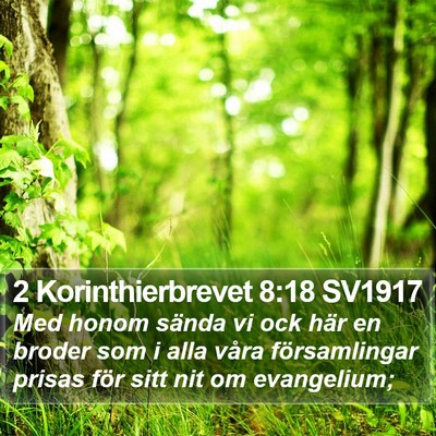 2 Korinthierbrevet 8:18 SV1917 Bible Verse Image