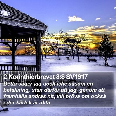 2 Korinthierbrevet 8:8 SV1917 Bible Verse Image