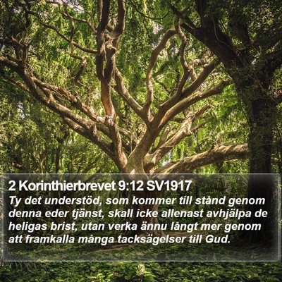2 Korinthierbrevet 9:12 SV1917 Bible Verse Image