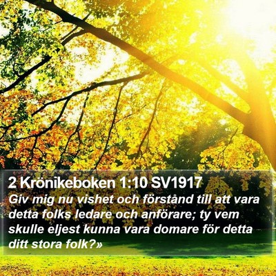 2 Krönikeboken 1:10 SV1917 Bible Verse Image