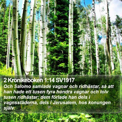 2 Krönikeboken 1:14 SV1917 Bible Verse Image