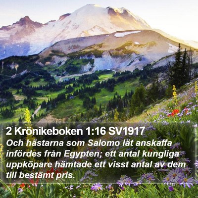 2 Krönikeboken 1:16 SV1917 Bible Verse Image