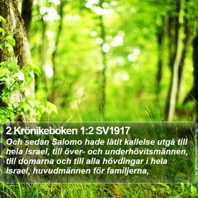 2 Krönikeboken 1:2 SV1917 Bible Verse Image