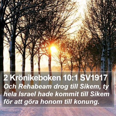 2 Krönikeboken 10:1 SV1917 Bible Verse Image