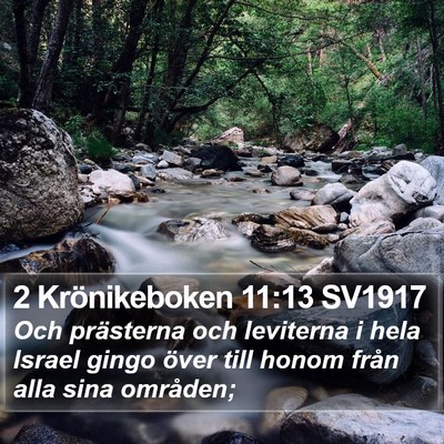 2 Krönikeboken 11:13 SV1917 Bible Verse Image