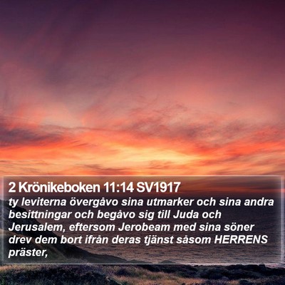 2 Krönikeboken 11:14 SV1917 Bible Verse Image