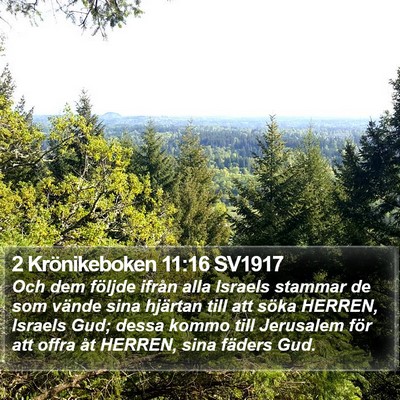 2 Krönikeboken 11:16 SV1917 Bible Verse Image