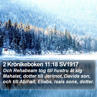 2 Krönikeboken 11:18 SV1917 Bible Verse Image