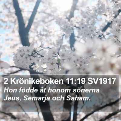 2 Krönikeboken 11:19 SV1917 Bible Verse Image