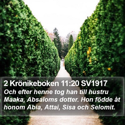 2 Krönikeboken 11:20 SV1917 Bible Verse Image