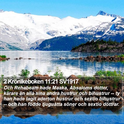 2 Krönikeboken 11:21 SV1917 Bible Verse Image