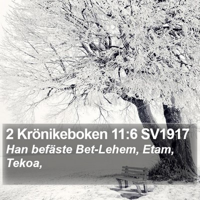 2 Krönikeboken 11:6 SV1917 Bible Verse Image