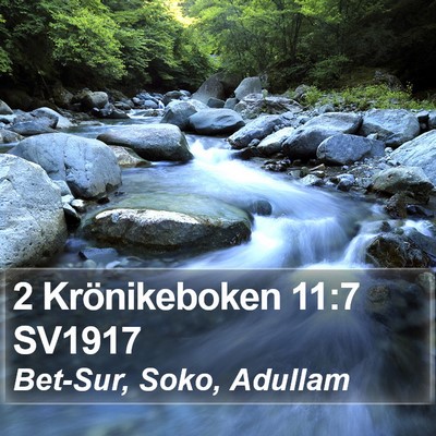 2 Krönikeboken 11:7 SV1917 Bible Verse Image