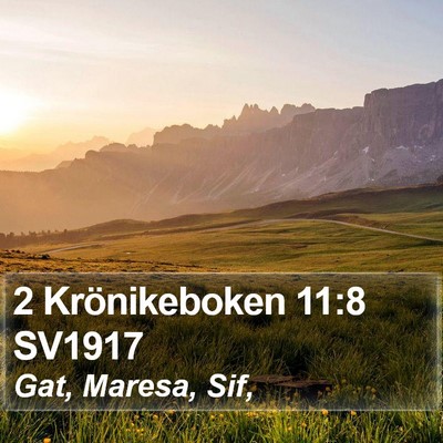 2 Krönikeboken 11:8 SV1917 Bible Verse Image