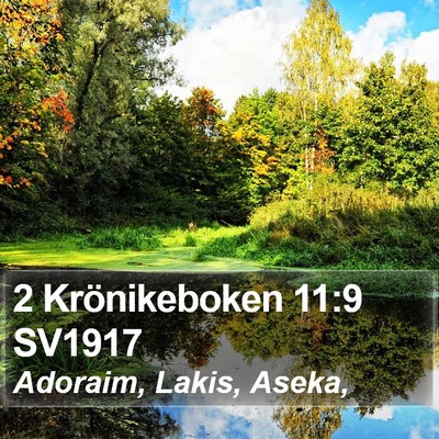 2 Krönikeboken 11:9 SV1917 Bible Verse Image