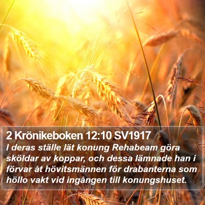 2 Krönikeboken 12:10 SV1917 Bible Verse Image
