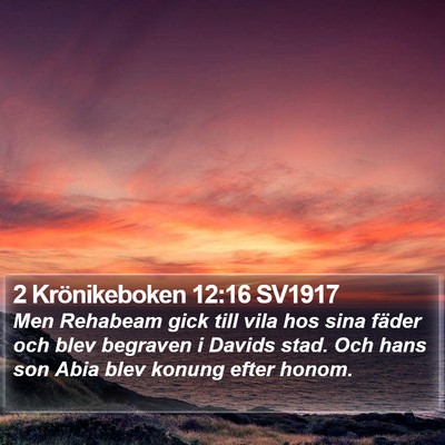 2 Krönikeboken 12:16 SV1917 Bible Verse Image