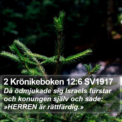 2 Krönikeboken 12:6 SV1917 Bible Verse Image