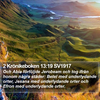 2 Krönikeboken 13:19 SV1917 Bible Verse Image