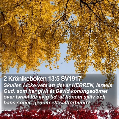 2 Krönikeboken 13:5 SV1917 Bible Verse Image