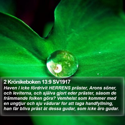 2 Krönikeboken 13:9 SV1917 Bible Verse Image