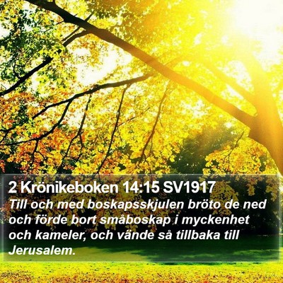 2 Krönikeboken 14:15 SV1917 Bible Verse Image