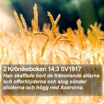 2 Krönikeboken 14:3 SV1917 Bible Verse Image