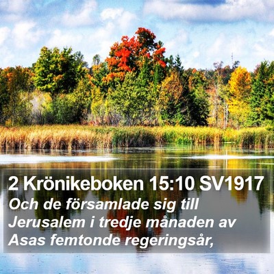 2 Krönikeboken 15:10 SV1917 Bible Verse Image