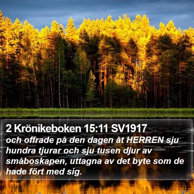 2 Krönikeboken 15:11 SV1917 Bible Verse Image
